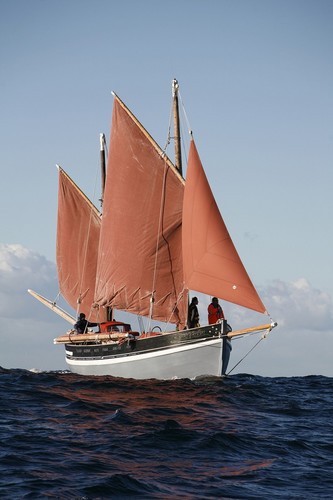 Spirit of Mystery sailing off Sydney Heads © NSW Maritime